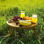VIMEDA | Portable Picnic Table™