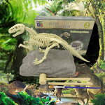 VIMEDA | Paleontological Dino Set™