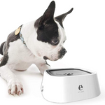 VIMEDA | Pet Water Feeder™