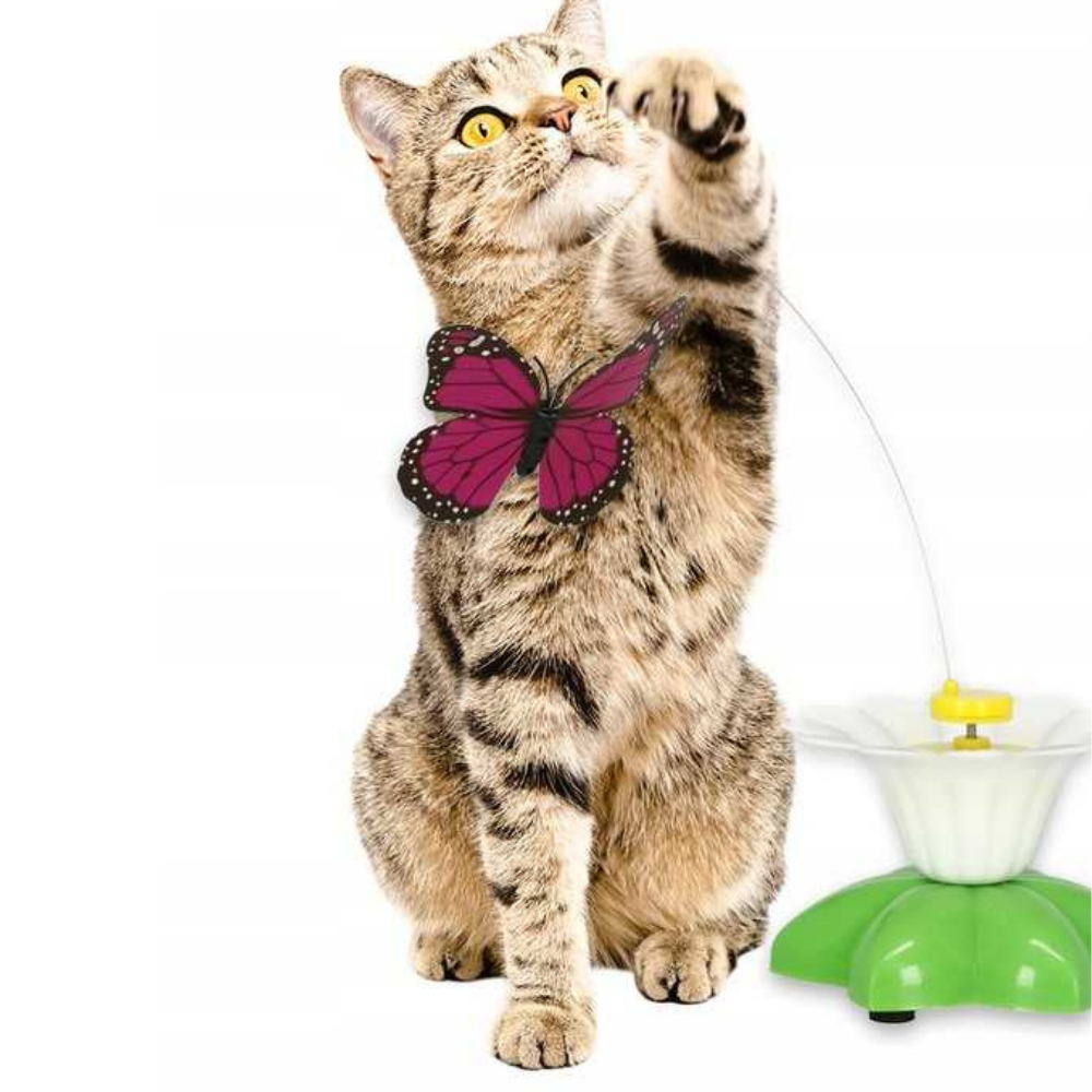 VIMEDA | Butterfly Cat Teaser™