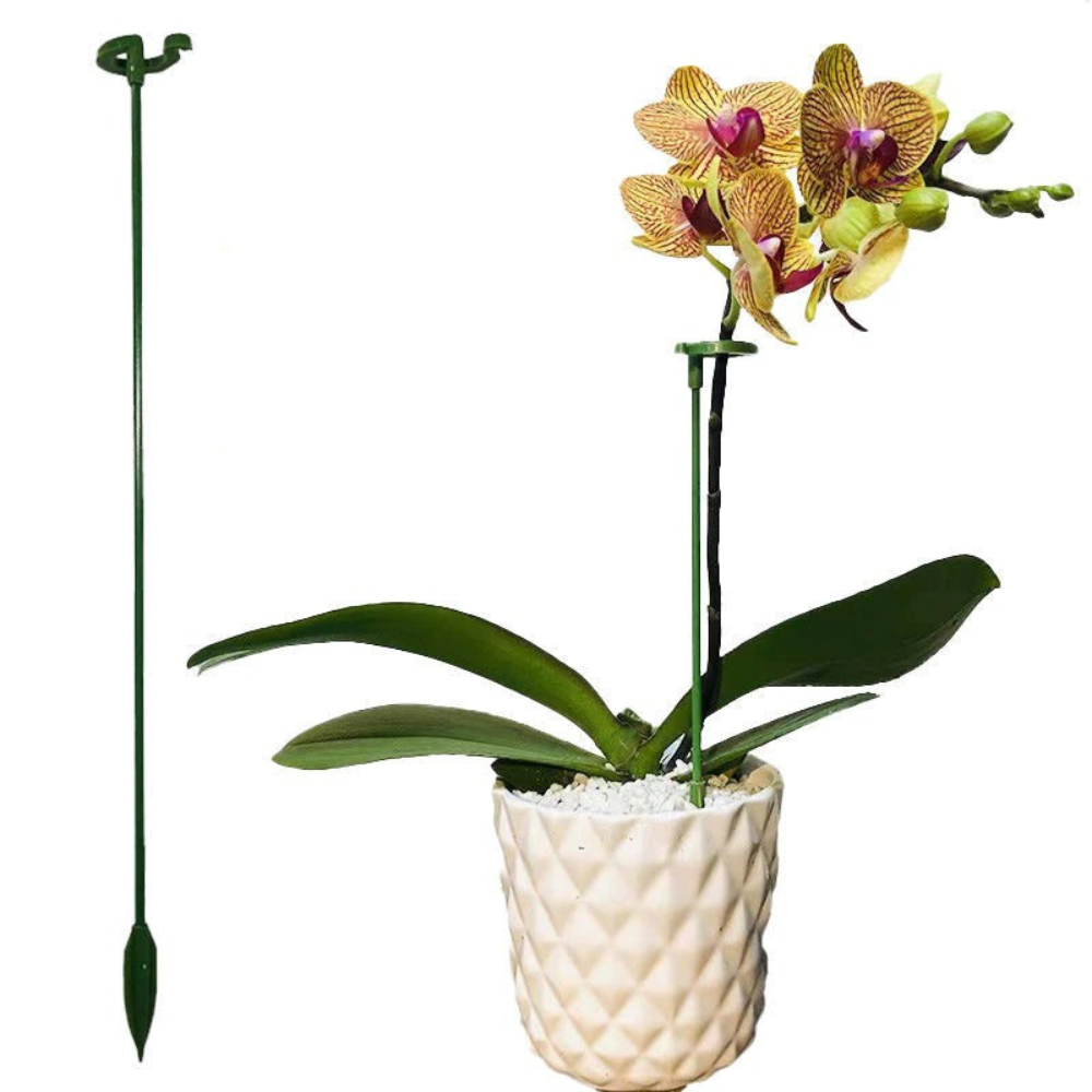 VIMEDA |  Plant Support Stakes™ (10+10 GRATIS)
