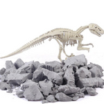VIMEDA | Paleontological Dino Set™
