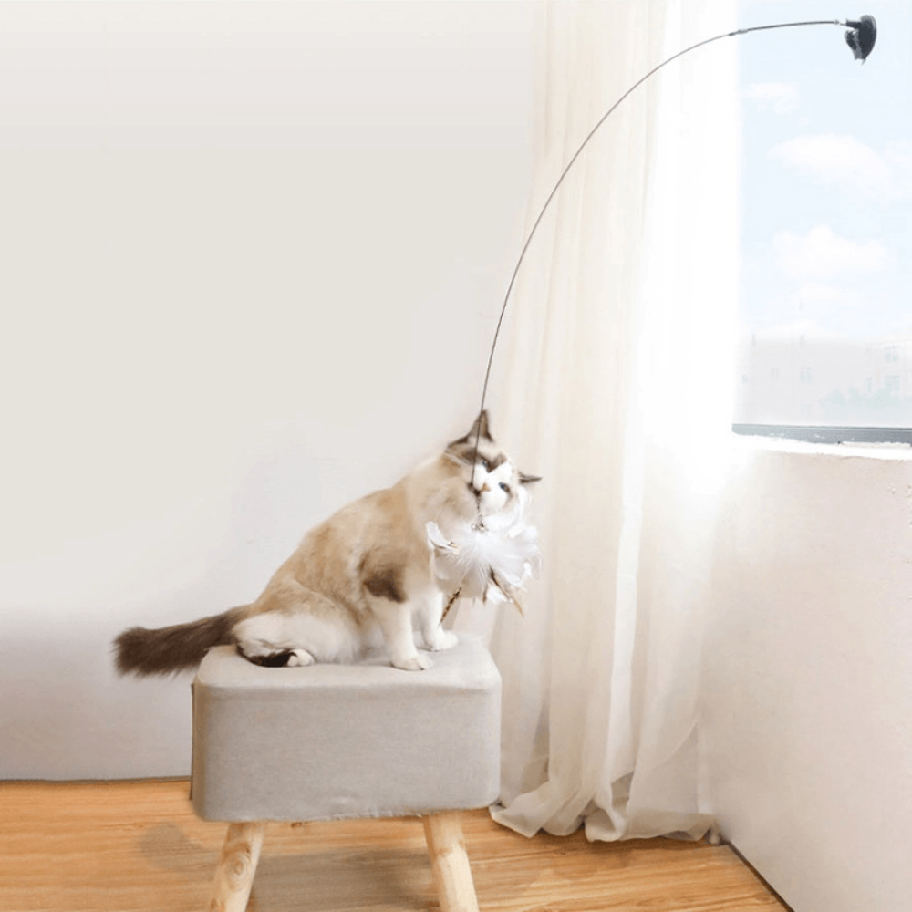 VIMEDA | Cat Teaser Toy™