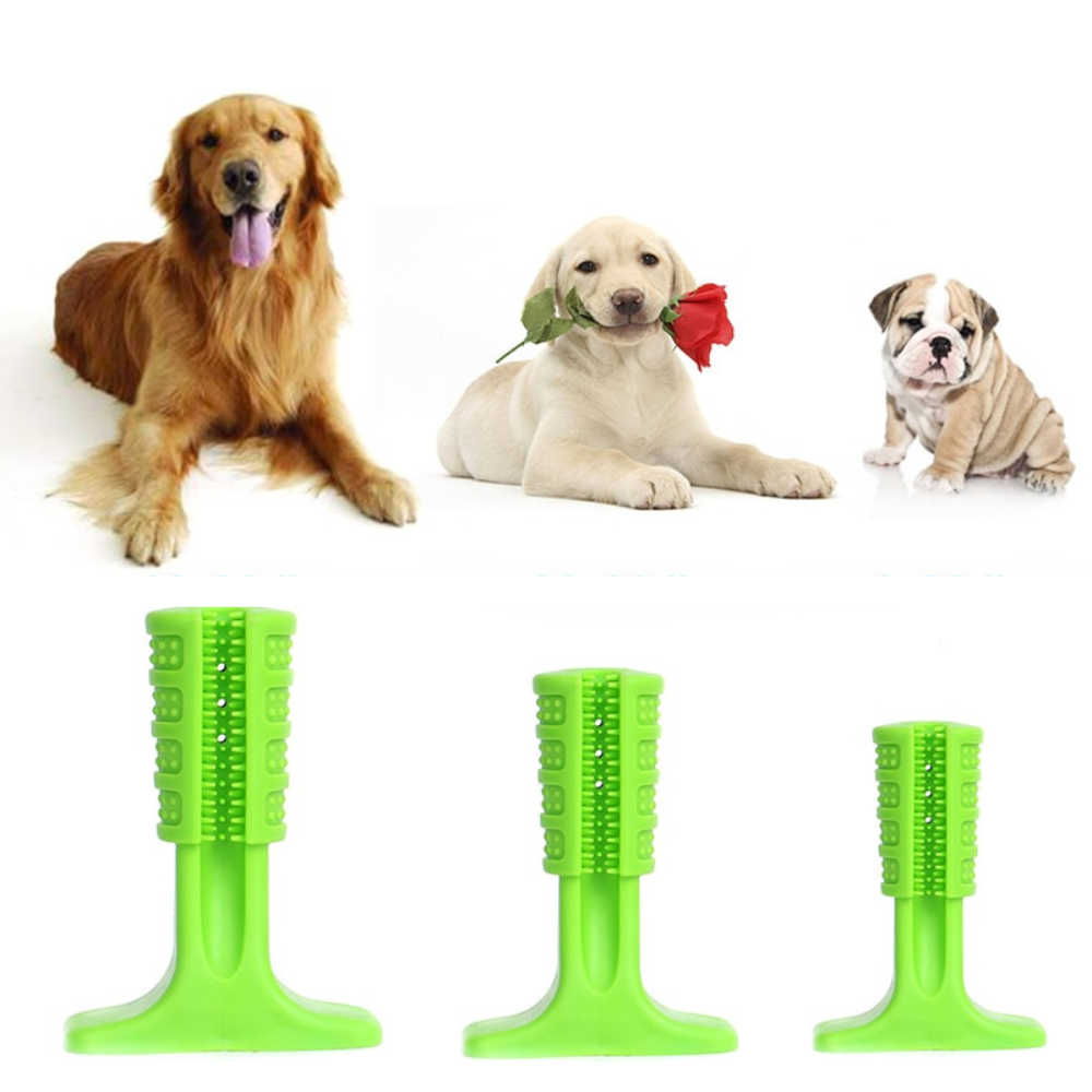 VIMEDA | Puppy Dental Brush™