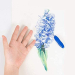 VIMEDA | Peanut Color Pencils™