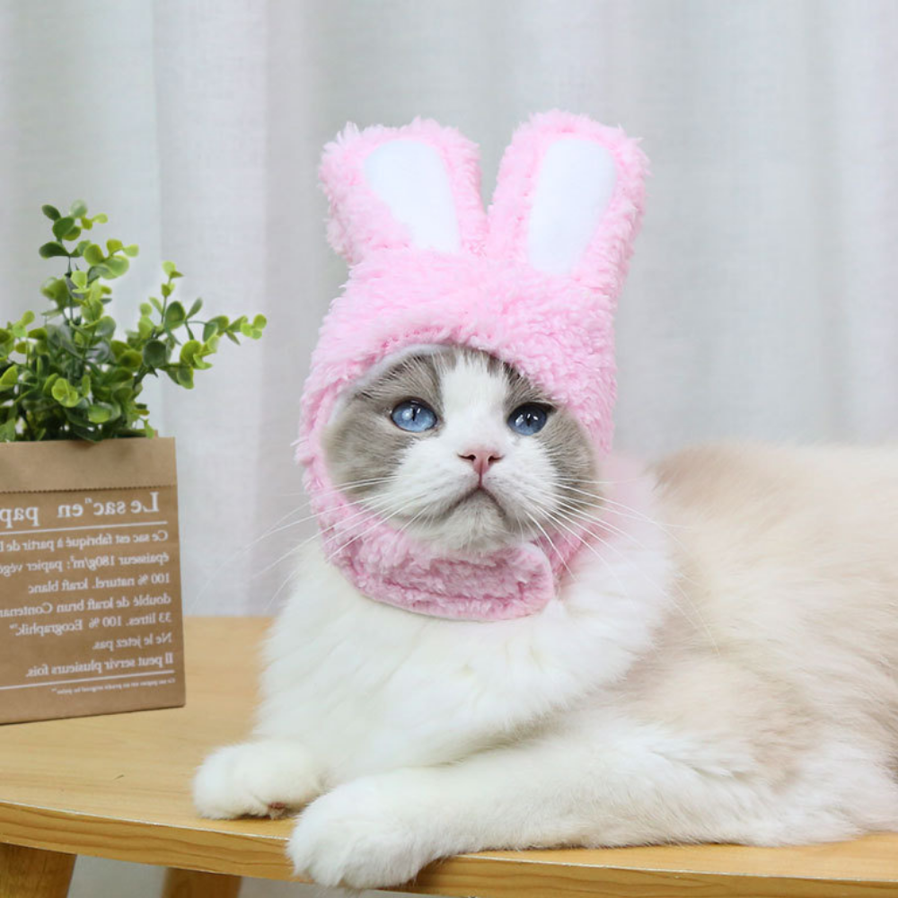VIMEDA | Pet Bunny Hat™ (1+1 GRATIS))