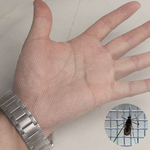 VIMEDA | Magnetic Window Screen™