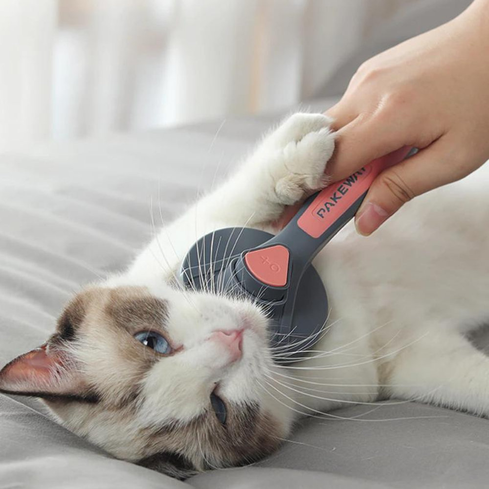 VIMEDA | Pet Brush™