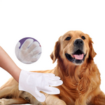VIMEDA | Pet Wipes Glove™ (1+1 GRATIS)