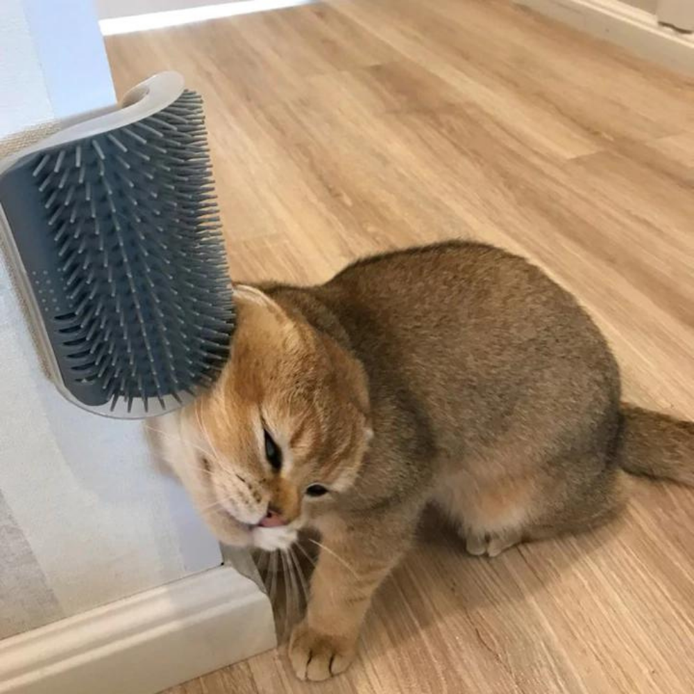 VIMEDA | Cat Massaging Brush™ (1+1 GRATIS)