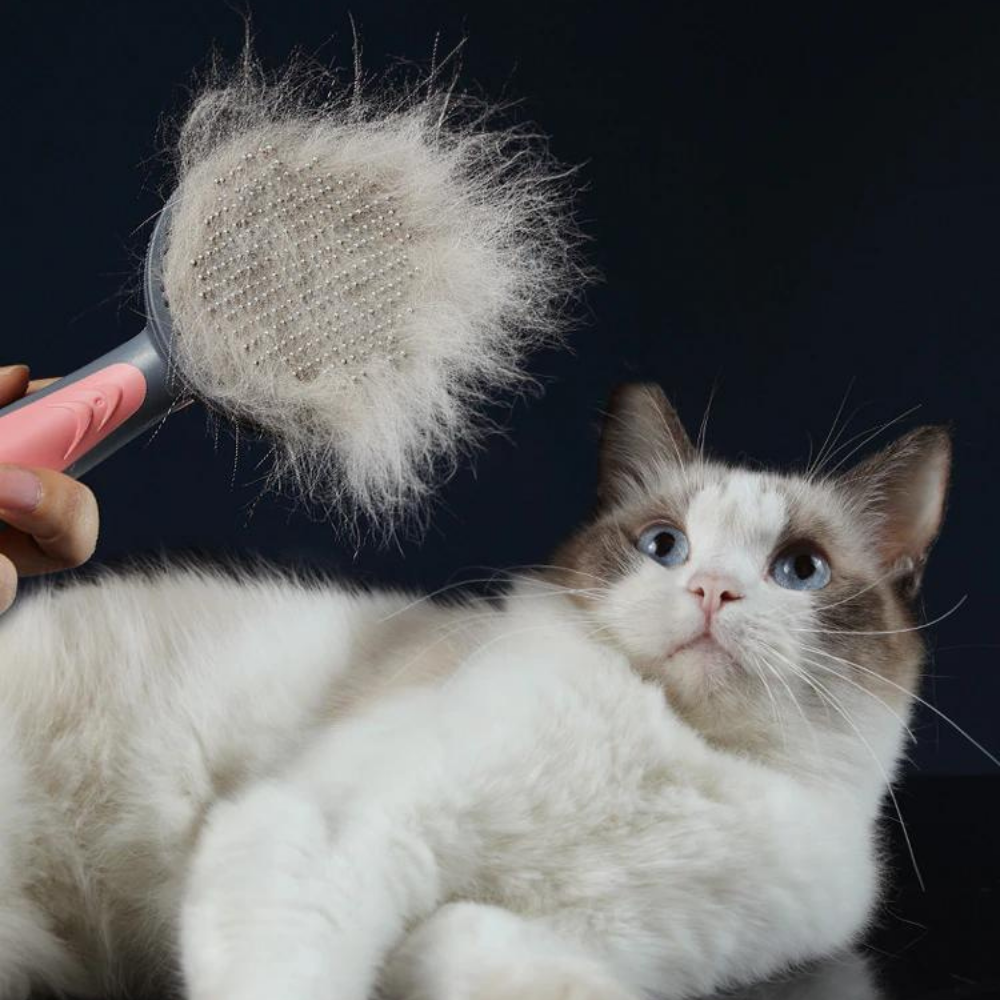 VIMEDA | Pet Brush™