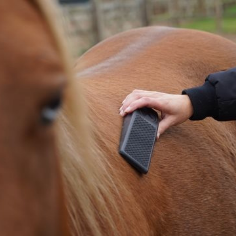 VIMEDA | Horse Grooming Brush™