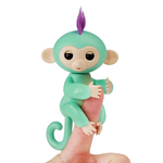 VIMEDA | Toto Monkey™