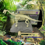 VIMEDA | Paleontological Dino Set™