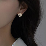 VIMEDA | Rotatable Shine Earrings™ (1+1 GRATIS)