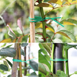 VIMEDA | Green Plant Ties™ (1+1 GRATIS)