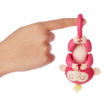 VIMEDA | Toto Monkey™