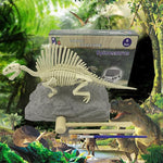 VIMEDA | Paleontological Dino Set™