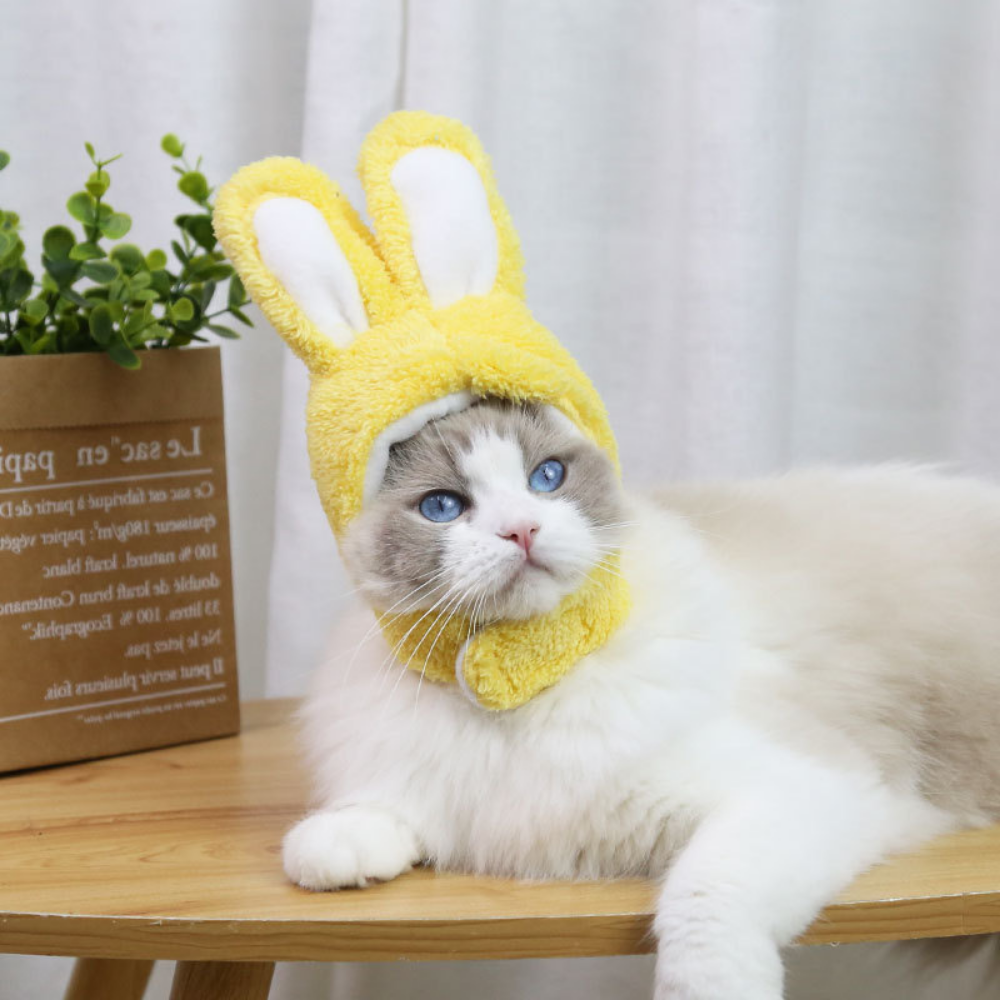 VIMEDA | Pet Bunny Hat™ (1+1 GRATIS))