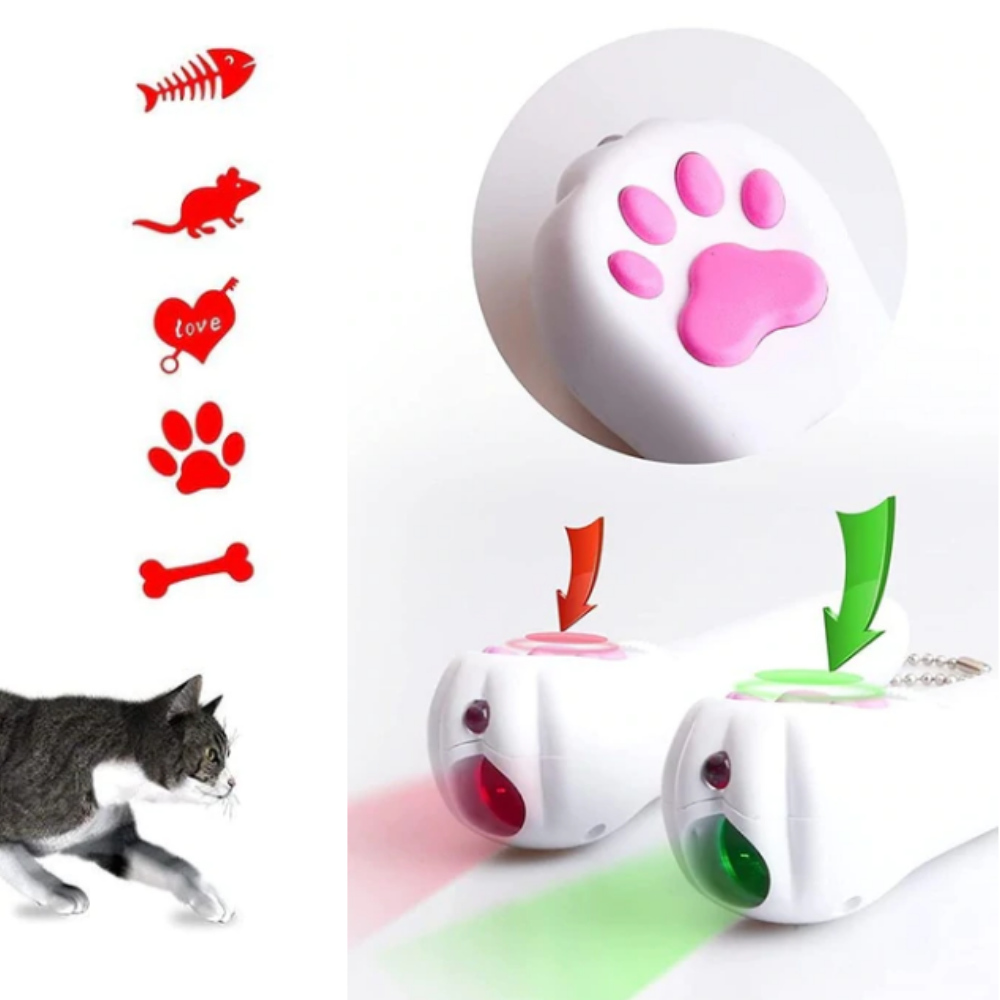 VIMEDA | LED Pet Laser™