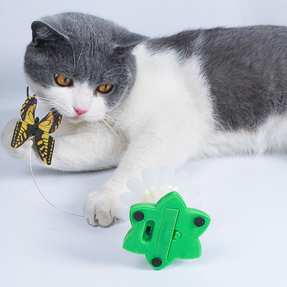 VIMEDA | Butterfly Cat Teaser™
