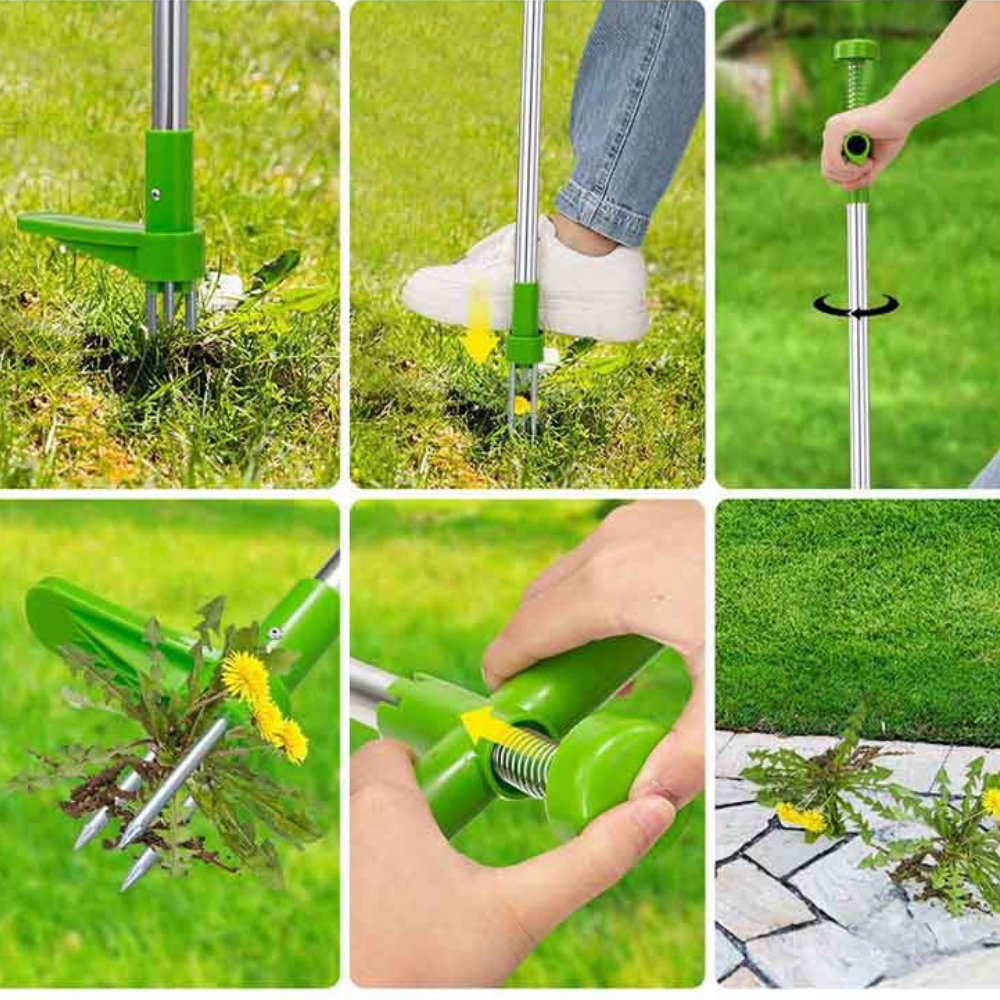 VIMEDA | Root Puller™