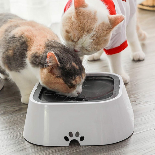 VIMEDA | Pet Water Feeder™