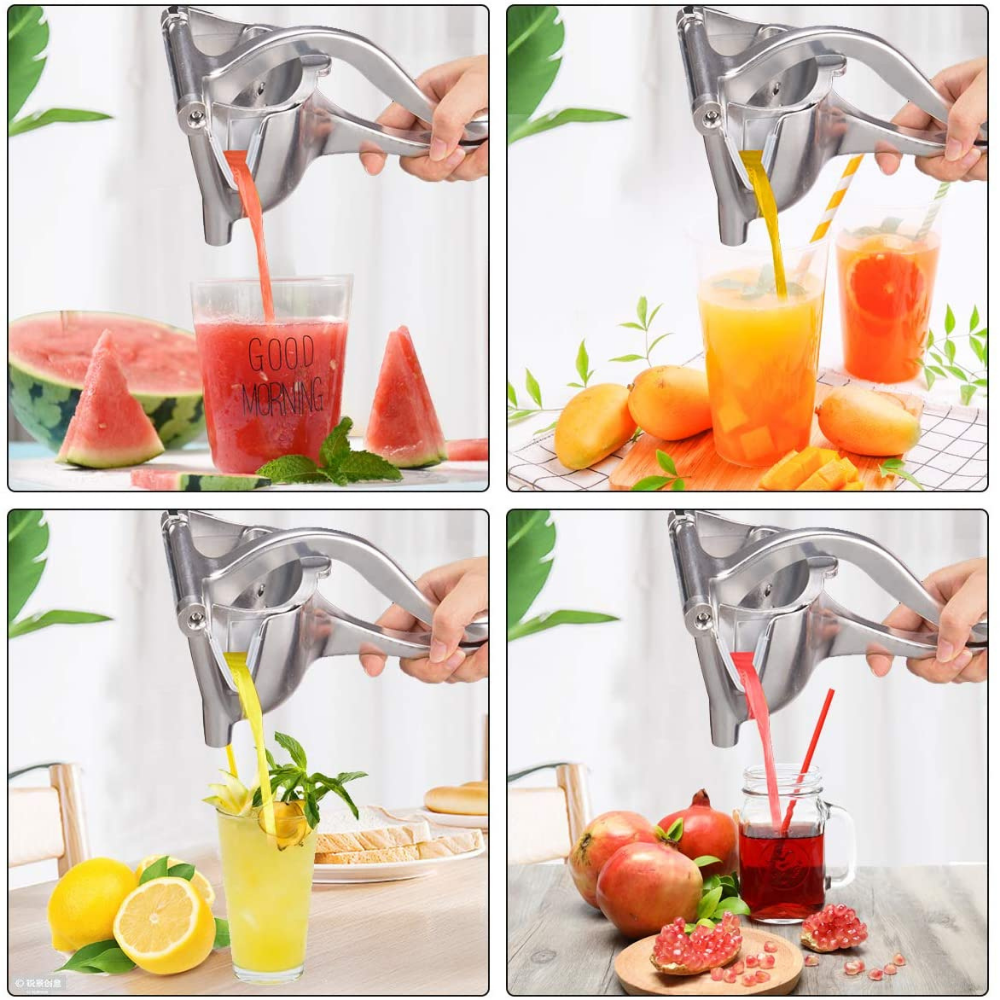 VIMEDA | Fruit Juicer™