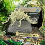 VIMEDA | Paleontological Dino Set™