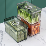 VIMEDA | Produce Saver Container™