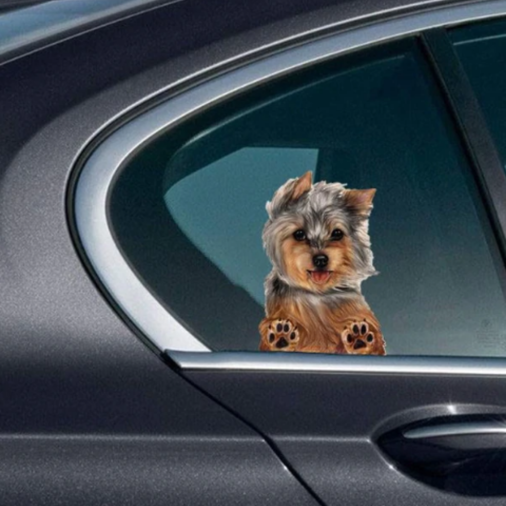 VIMEDA | Dog Car Sticker™ (2+2 GRATIS)