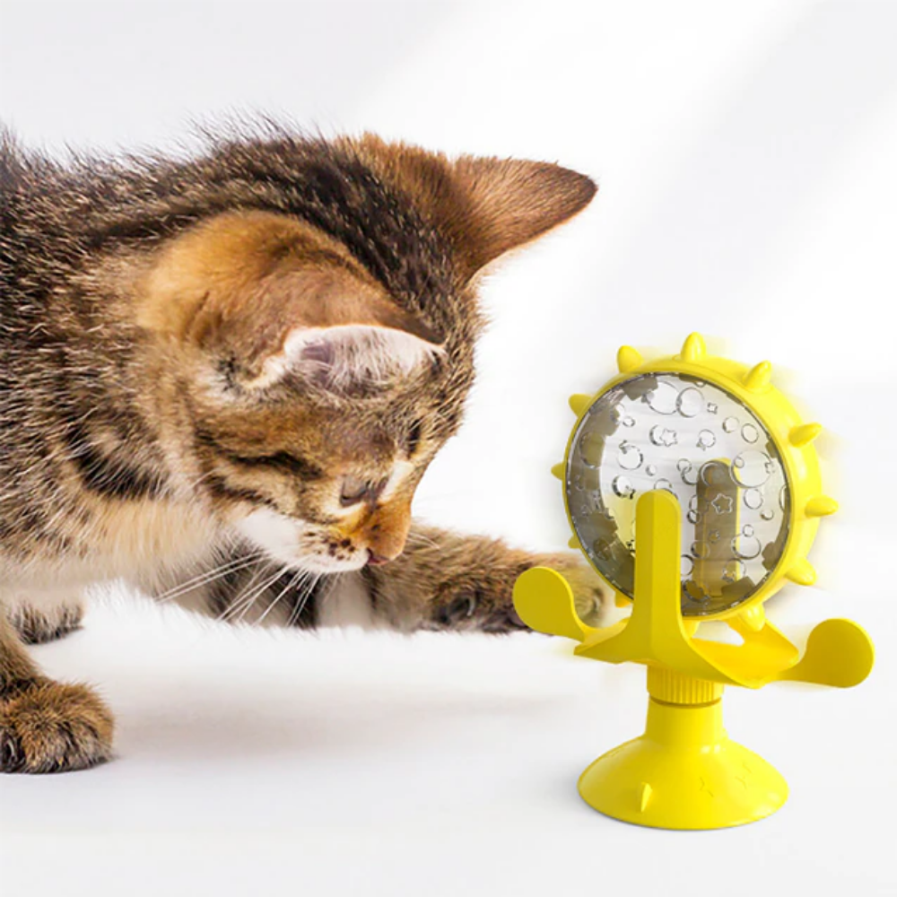 VIMEDA | Pet Food Dispenser™