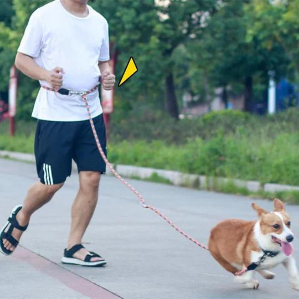 VIMEDA | Hands-Free Dog Leash™