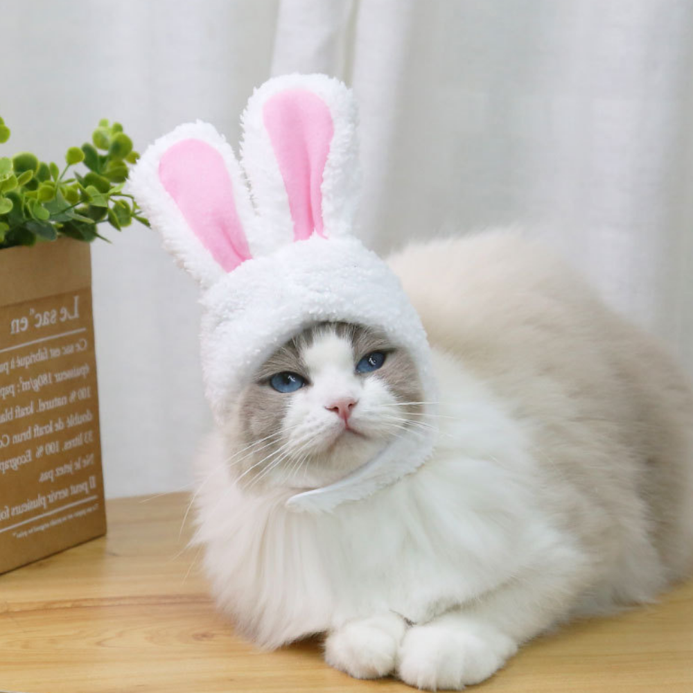 VIMEDA | Pet Bunny Hat™ (1+1 GRATIS))