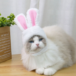VIMEDA | Pet Bunny Hat™ (1+1 GRATIS))