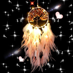VIMEDA | Rose Dream Catcher™