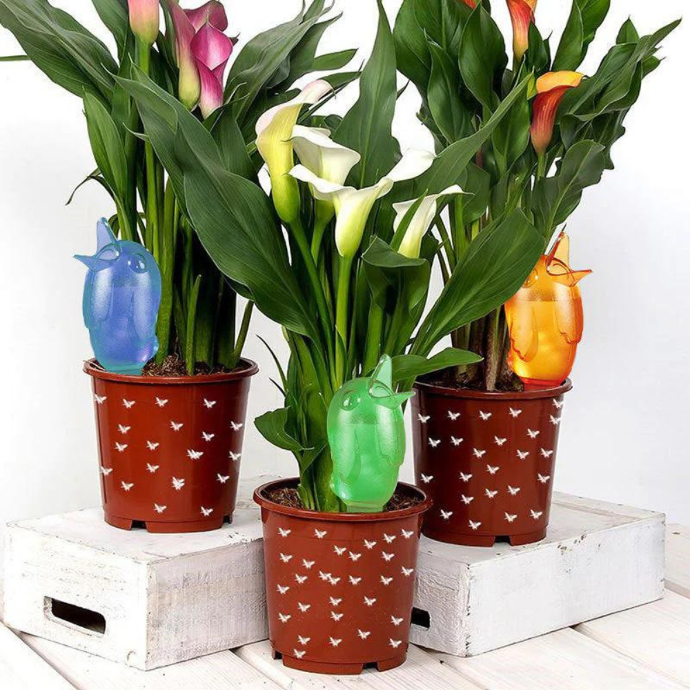 VIMEDA | Self Watering Spikes™ (1+1 GRATIS)