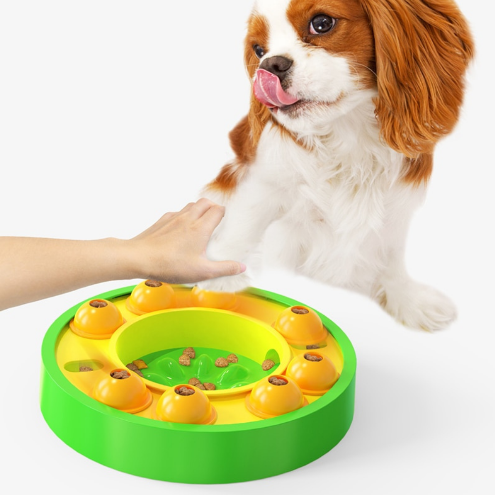 VIMEDA | Interactive Pet Bowl™