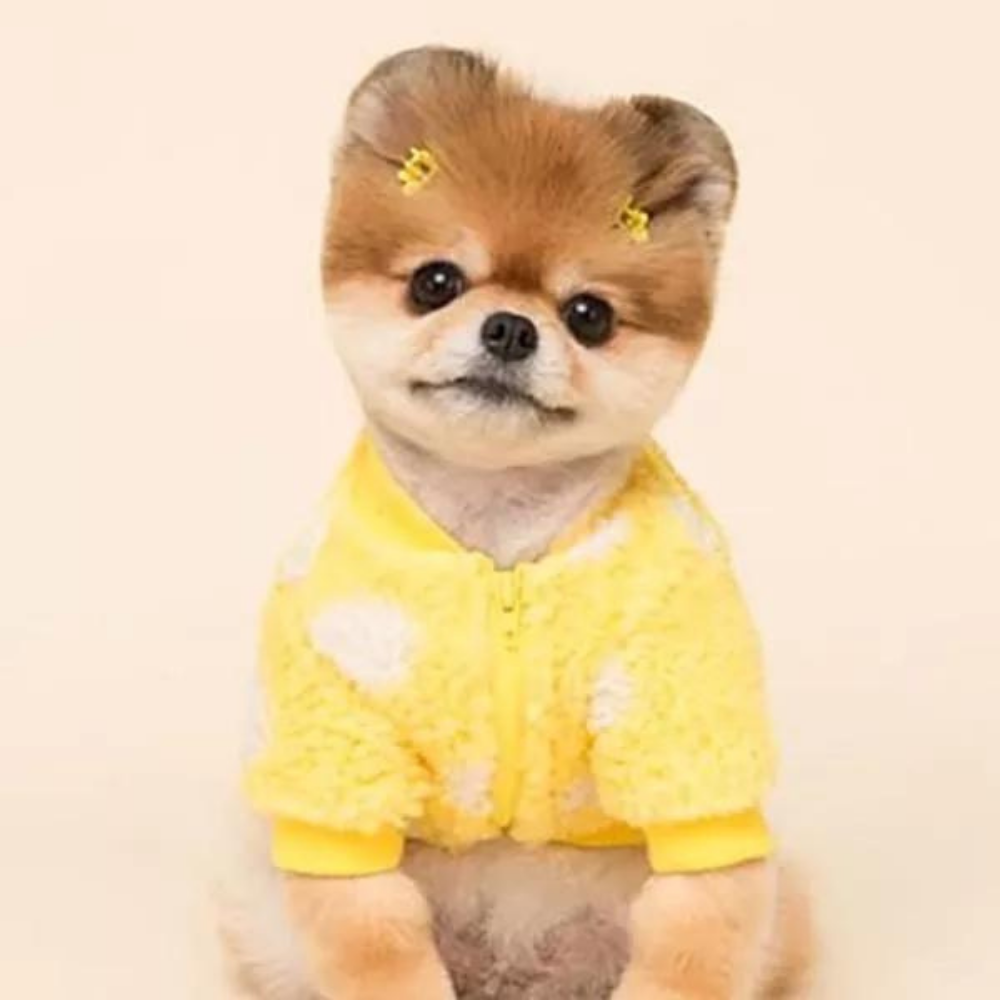 VIMEDA | Fleece Dog Sweater™