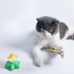 VIMEDA | Butterfly Cat Teaser™
