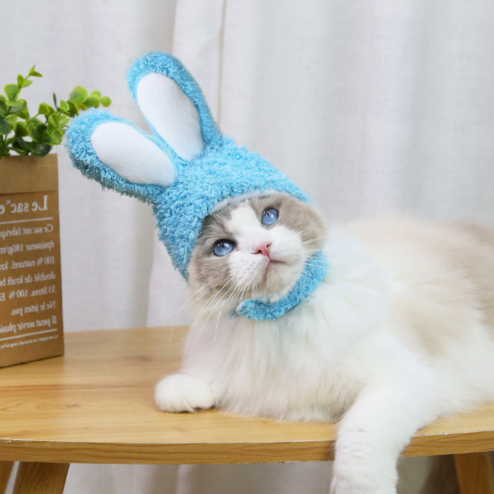 VIMEDA | Pet Bunny Hat™ (1+1 GRATIS))