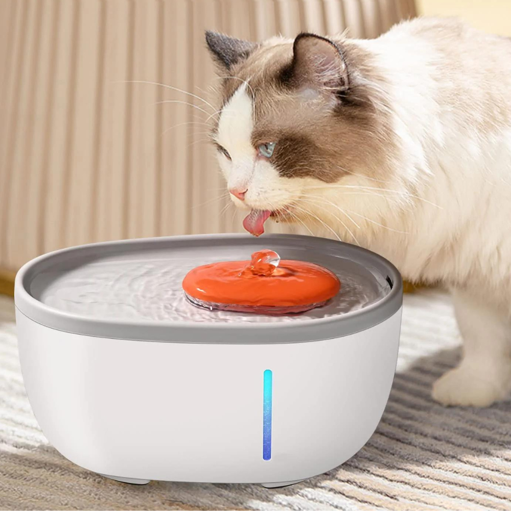 VIMEDA | Avocado Pet Fountain™