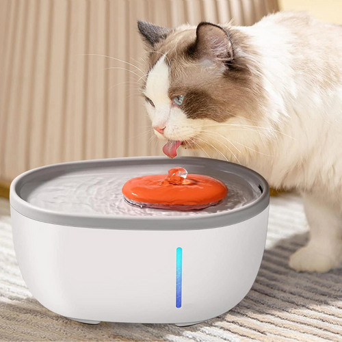 VIMEDA | Avocado Pet Fountain™