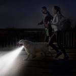 VIMEDA | Magnetic COB Light™