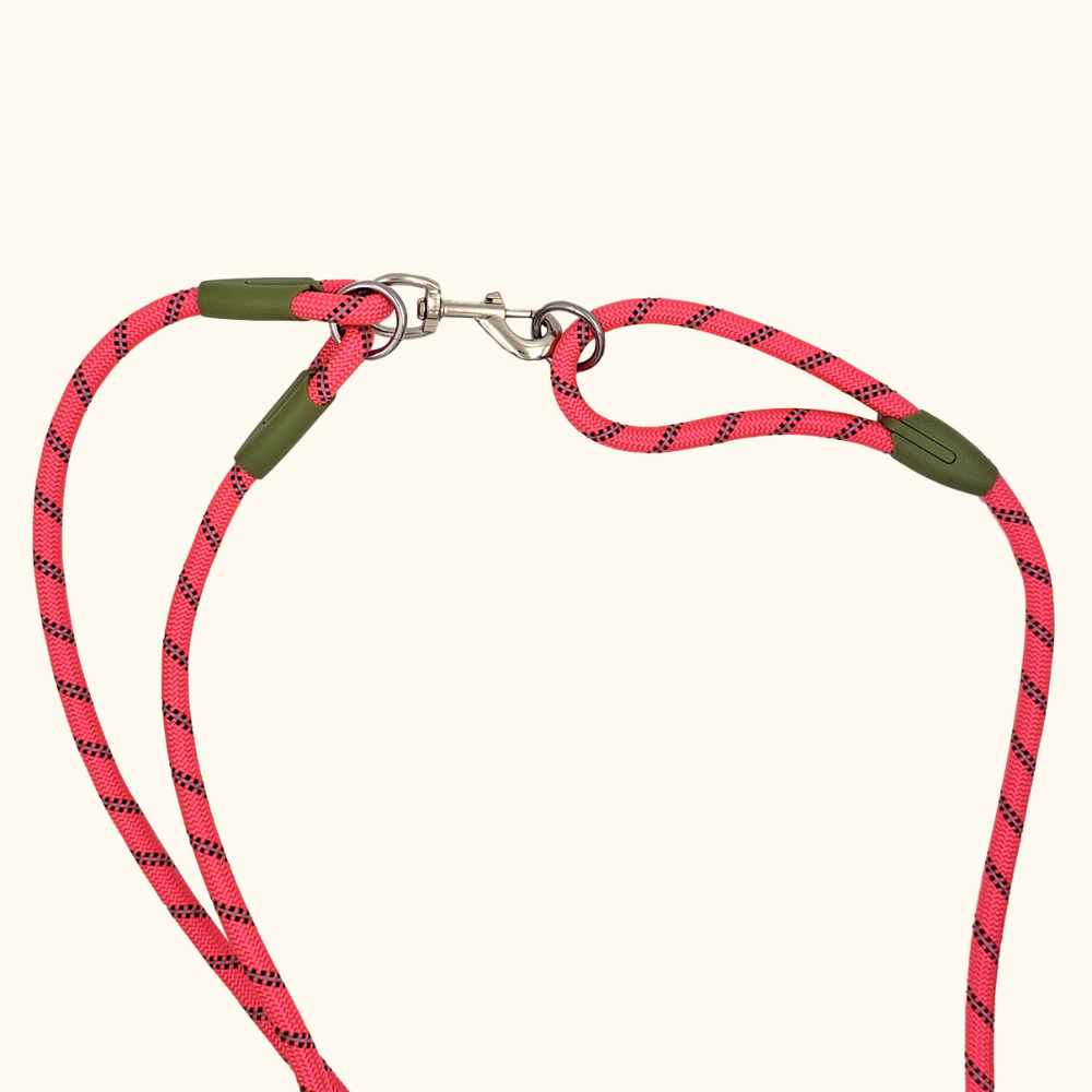 VIMEDA | Hands-Free Dog Leash™