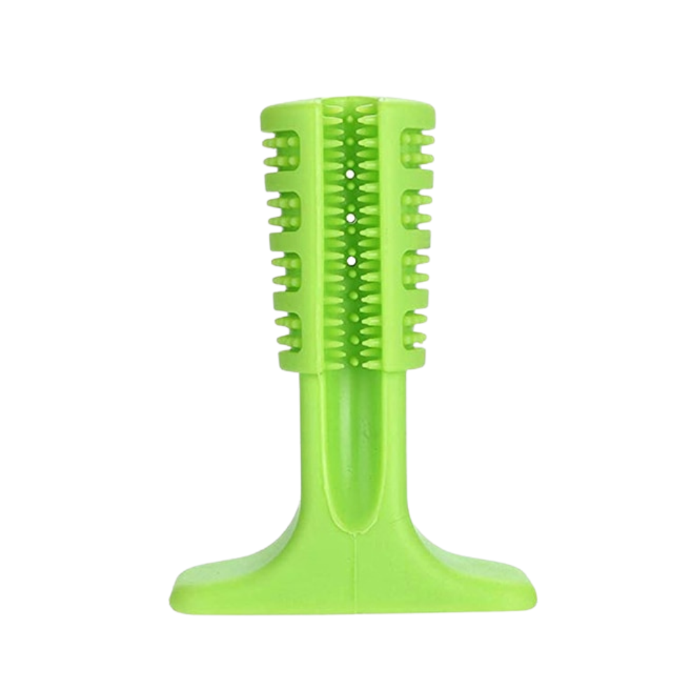 VIMEDA | Puppy Dental Brush™