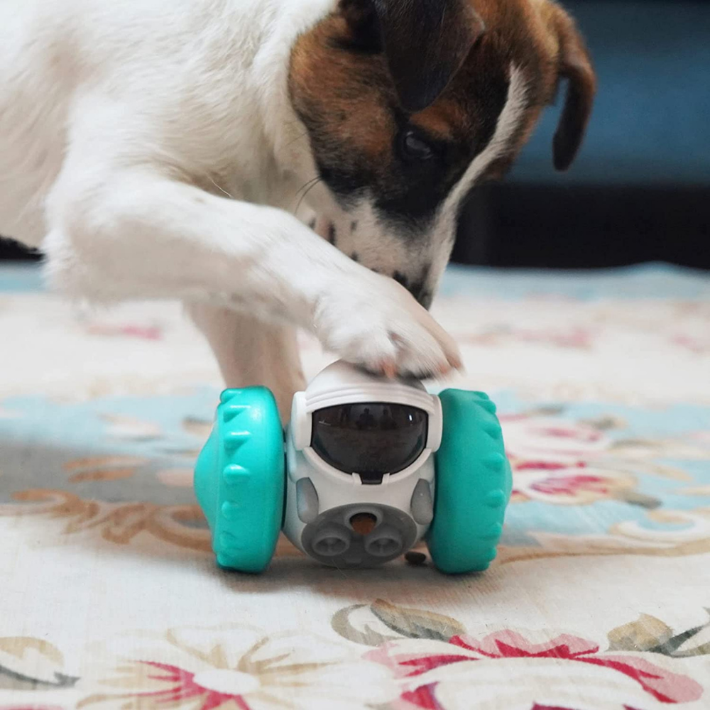 VIMEDA | Interactive Pet Feeder™