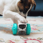 VIMEDA | Interactive Pet Feeder™