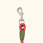 VIMEDA | Hands-Free Dog Leash™