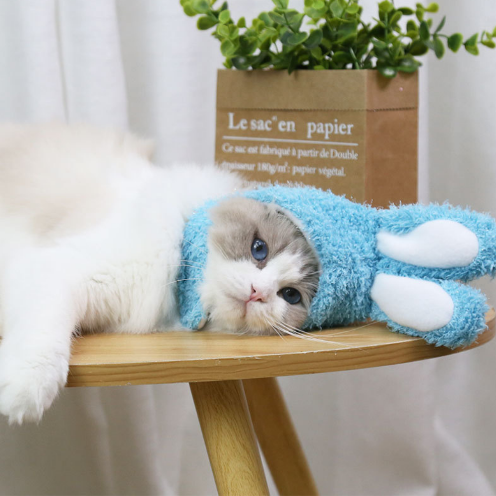 VIMEDA | Pet Bunny Hat™ (1+1 GRATIS))